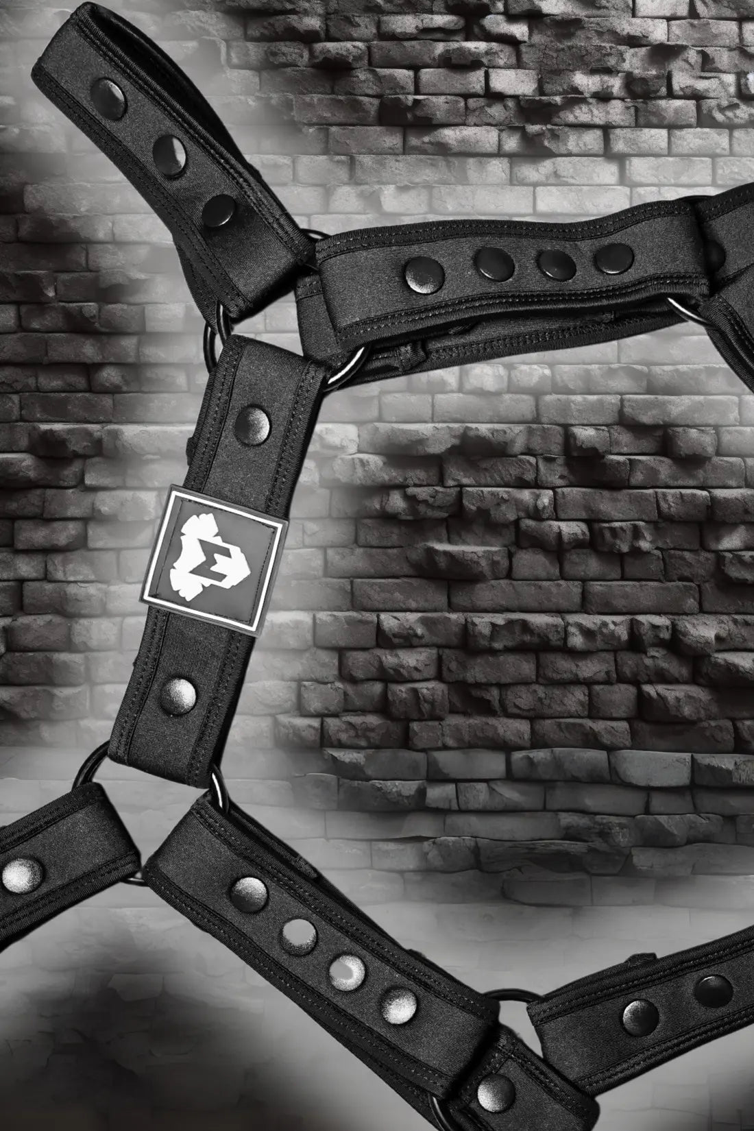 Jaxon Hexguard neoprene body harness in black from Maskulo Global (EU) online store. Stylish and durable accessory.