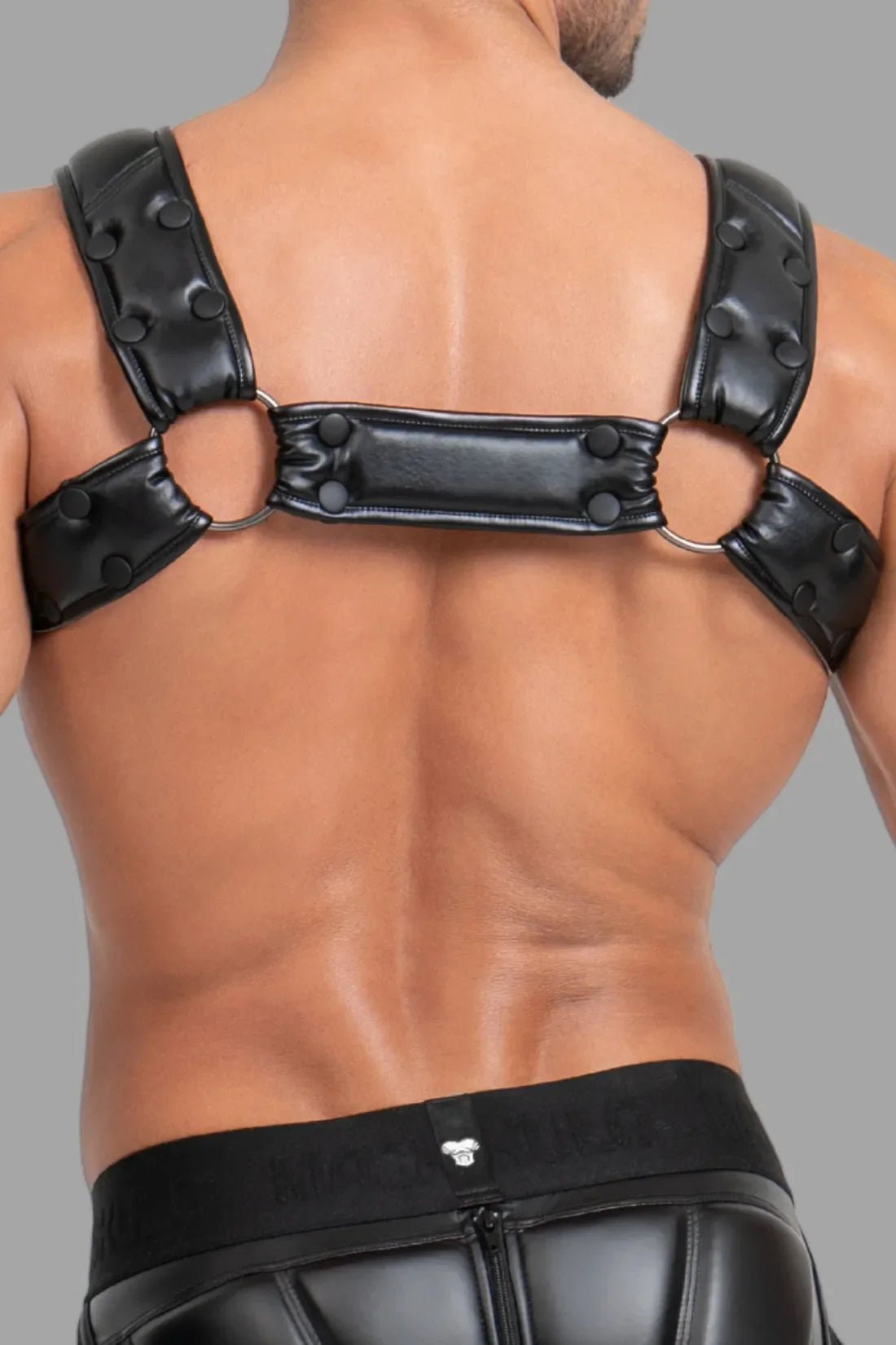 Maskulo Bulldog Harness, Black/Red, with 3D logo. Polyester/polyurethane blend, metal rings, snaps, and PU leather piping.